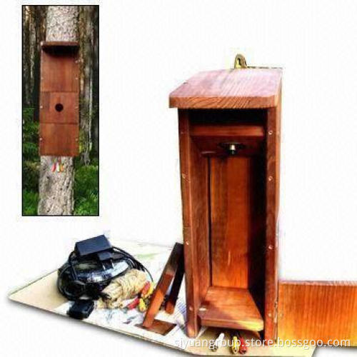Wooden Bird House, Recording Camera Video with Sound, Night Vision, Auto White Balance